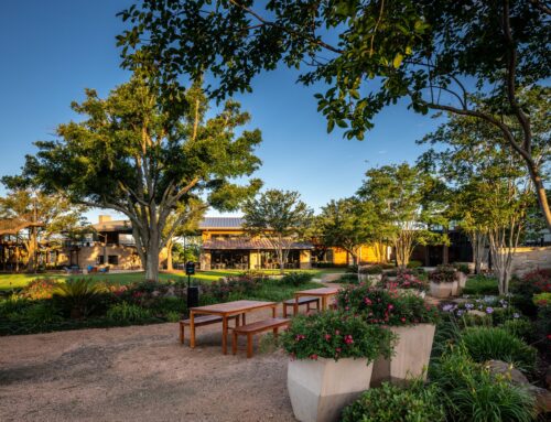 The Complete Guide to Commercial Landscaping in Houston, TX