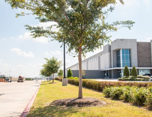 How Commercial Lawn Care in Harris County, TX, Improves Day-to-Day Property Appearance