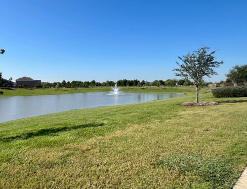 How a Retention Pond in Brazoria County, TX, Supports Effective Water Management