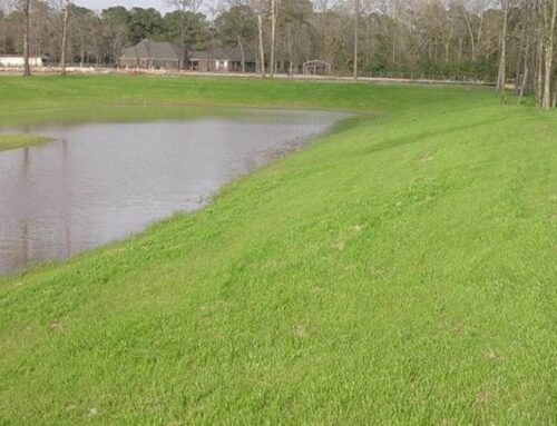 The Importance of Retention Pond Management for Montgomery County, TX, Communities
