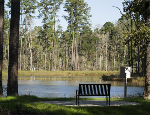 Designing a Detention Pond in Brazoria County, TX, for Storm Resilience and Site Stability